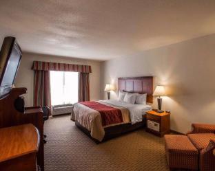 Comfort Inn & Suites Rogersville - 7