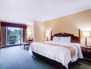 Quality Inn & Suites - 2