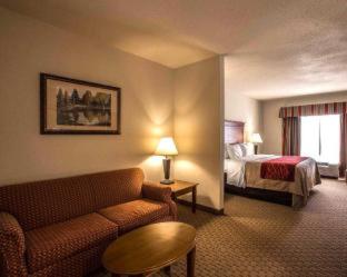 Comfort Inn & Suites Rogersville - 3
