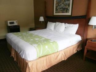 Econo Lodge Inn & Suites Virginia Beach - Norfolk - 7