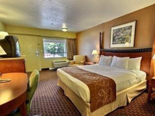 Econo Lodge Inn & Suites Virginia Beach - Norfolk - 6