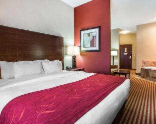 Comfort Suites Troy-I75 - 8
