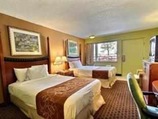 Econo Lodge Inn & Suites Virginia Beach - Norfolk - 4