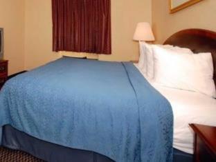 Econo Lodge Inn & Suites - 4
