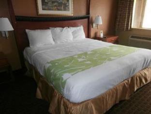 Econo Lodge Inn & Suites Virginia Beach - Norfolk - 2