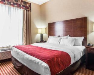 Comfort Suites Troy-I75 - Troy - 2