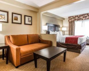Comfort Suites Morrow- Atlanta South - 4