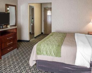 Quality Inn - 5