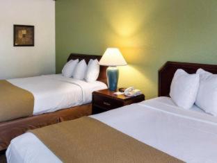 Quality Inn Shreveport Airport - 4