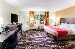Econo Lodge Glade Springs I-81 - 5