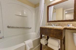 Comfort Inn St Petersburg North - St Petersburg - 5