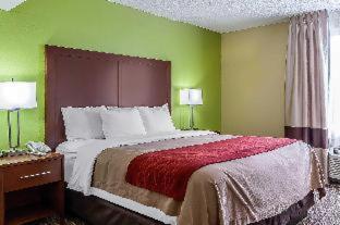Comfort Inn St Petersburg North - St Petersburg - 2