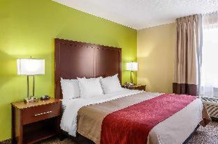 Comfort Inn St Petersburg North - 1