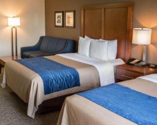 Comfort Inn Crystal Lake - Algonquin - 7
