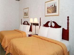 Comfort Inn Crystal Lake - Algonquin - 5
