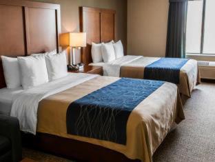 Comfort Inn Crystal Lake - Algonquin - 4