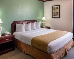 Quality Inn Shreveport Airport - 2