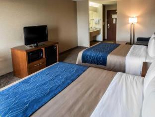 Comfort Inn Crystal Lake - Algonquin - 3