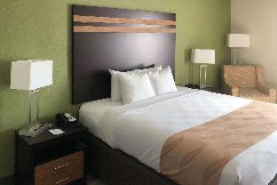 Quality Inn & Suites - Mount Vernon - 5