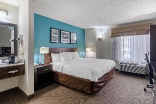 Clarion Inn & Suites DFW North - 6