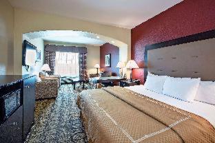 Comfort Inn & Suites New Iberia - Avery Island - New Iberia - 6