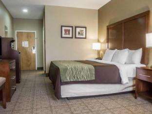 Comfort Inn Amite - 9