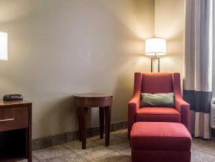 Comfort Inn Amite - 8