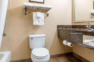 Comfort Inn & Suites Porter near Indiana Dunes - Porter - 9