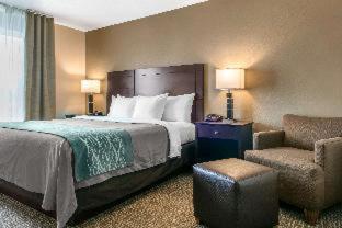 Comfort Inn & Suites Porter near Indiana Dunes - Porter - 7