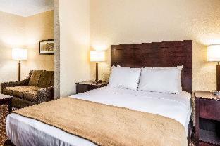 Comfort Suites - Marion - 7