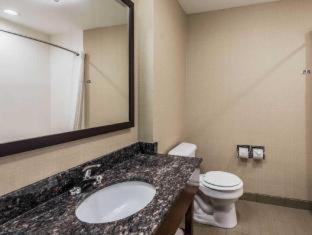 Comfort Suites - Marion - 4