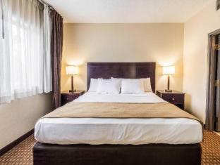 Comfort Suites - Marion - 3