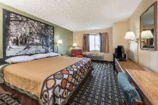 Super 8 by Wyndham Greenville - Greenville - 7