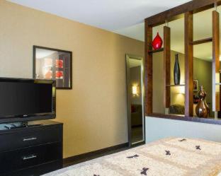Cambria Hotel Madison East - Madison - 6