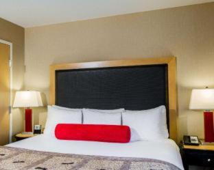 Cambria Hotel Madison East - Madison - 5