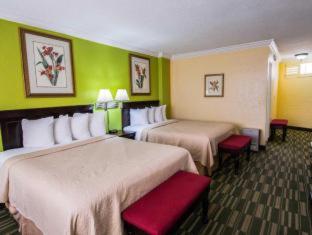 Comfort Inn & Suites Ormond Beach Oceanfront - 4