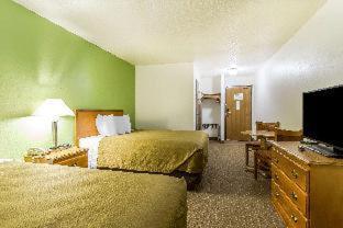Econo Lodge Inn & Suites Pekin - Peoria Area - Pekin - 9