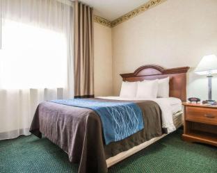 Quality Inn & Suites Dixon near I-88 - Dixon - 6