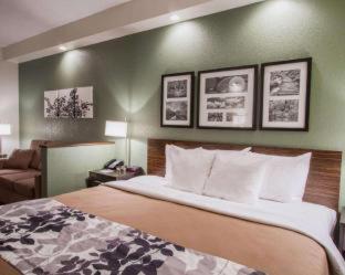 Sleep Inn & Suites Buffalo Airport - Cheektowaga - 3
