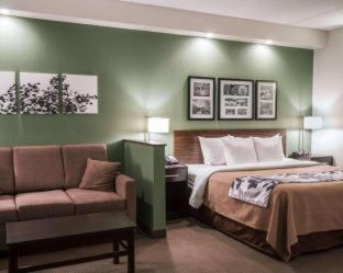 Sleep Inn & Suites Buffalo Airport - Cheektowaga - 2