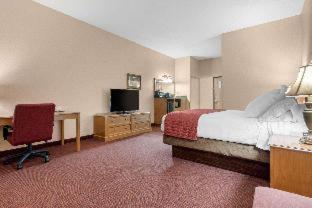 Norfolk Lodge & Suites, an Ascend Collection Hotel - Norfolk - 8