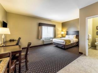 Comfort Inn & Suites Barnesville - Frackville - Barnesville - 4