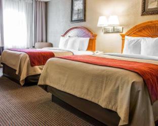 Baymont by Wyndham Flint Airport North - Flint - 4