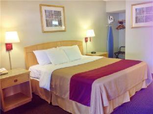 Executive Inn Schenectady Downtown - 7