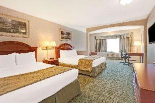 Hotel Aluxor SFO, Shuttle Service - San Bruno - 8