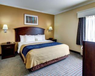 Comfort Inn Corsicana East - 6