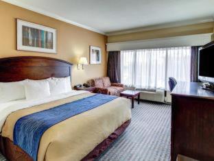 Comfort Inn Corsicana East - 2