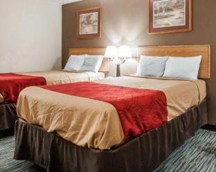 Econo Lodge Inn and Suites - Jackson - 5
