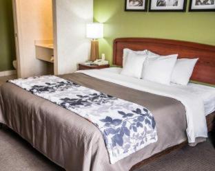 Sleep Inn & Suites Allendale - 1