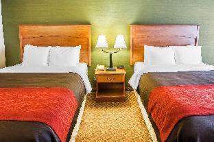 Comfort Inn & Suites Salem Northeast - Salem - 4